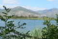 ausoni