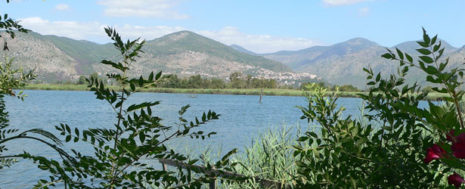 ausoni