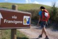 Via-Francigena-660x330