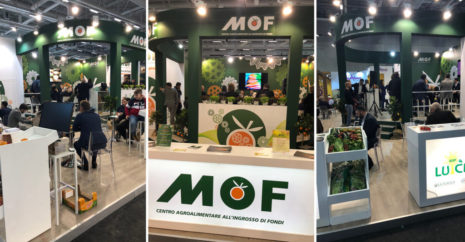 MOF_Berlino_2019_2-1024x534