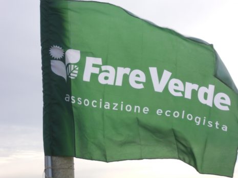 fare-verde