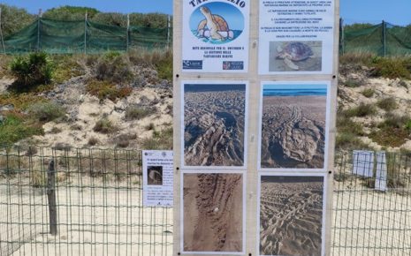 108460886_10222601010671011_6158067771449261527_o