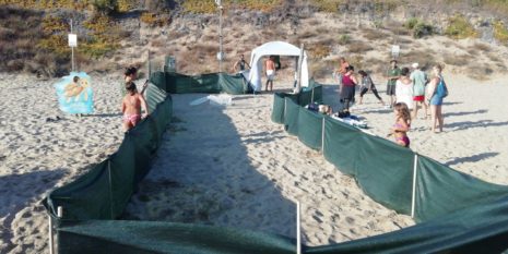 WhatsApp Image 2020-08-26 at 20.09.10