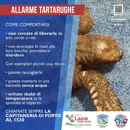 WhatsApp Image 2021-02-11 at 16.43.38