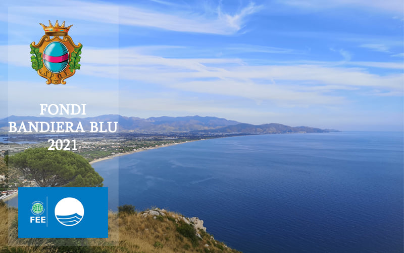 184183583_232742245314462_5986261869010976489_n