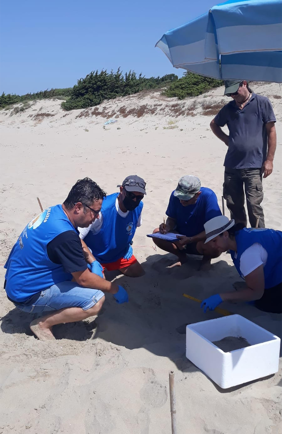 290332105_348190130821055_7341890999040097640_n