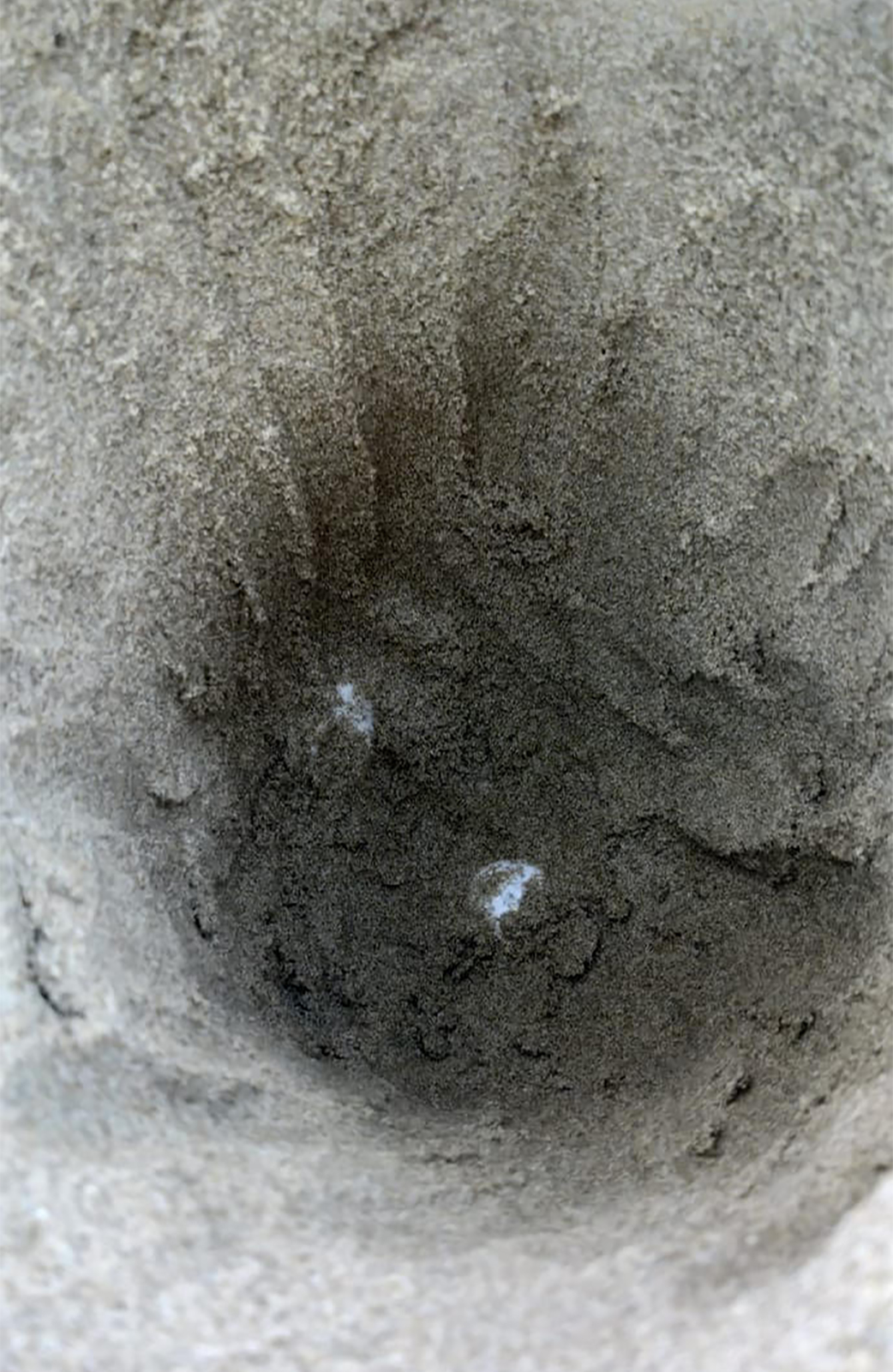 290988386_348190714154330_5777406828371009369_n