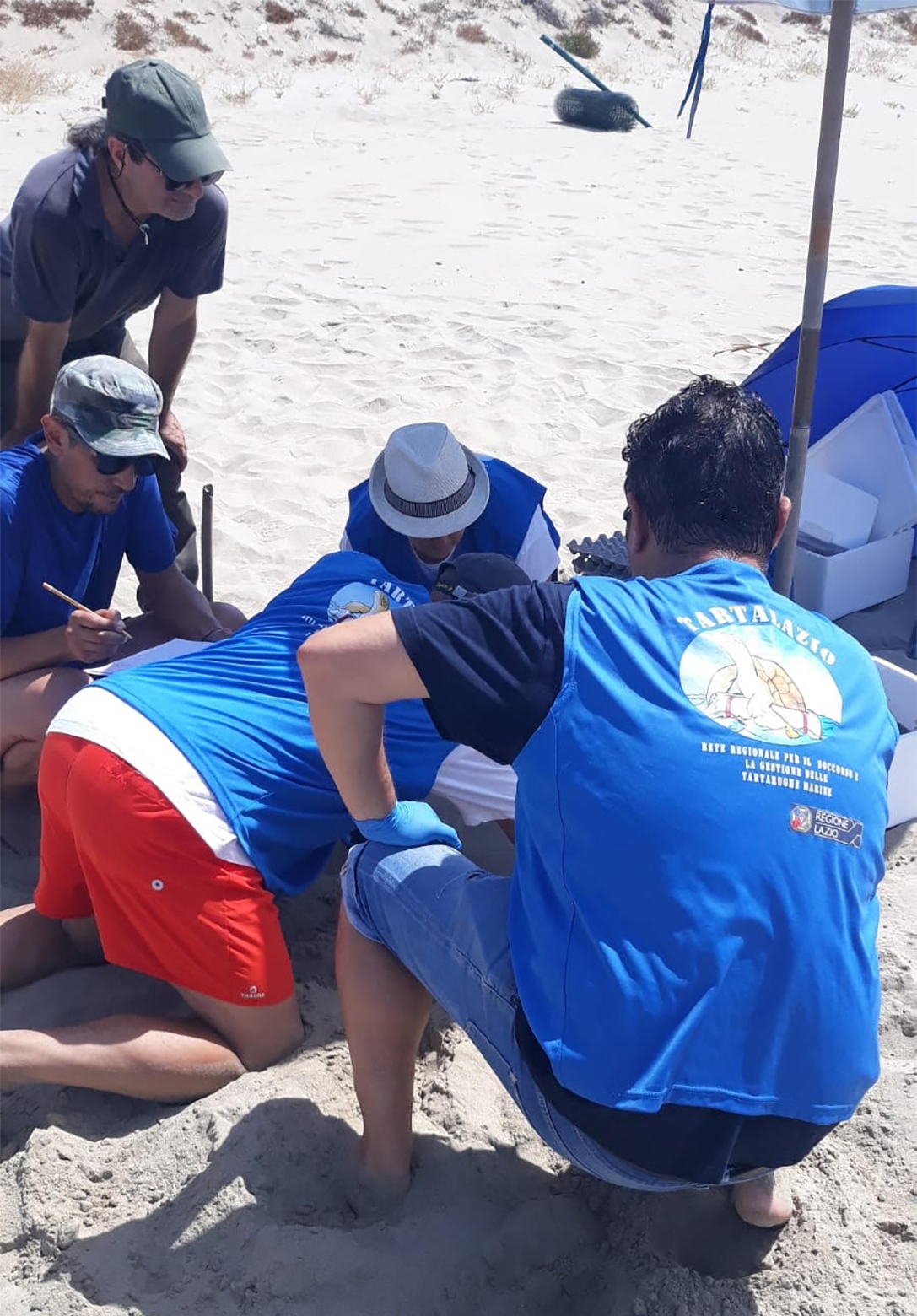 291520628_348190850820983_6509594539645887804_n