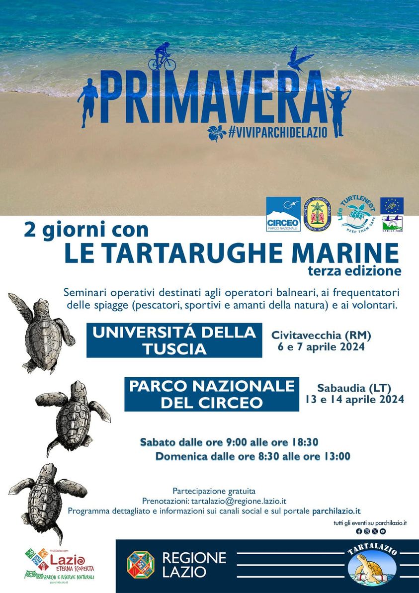 431478328_831071409066495_897282791761872100_n