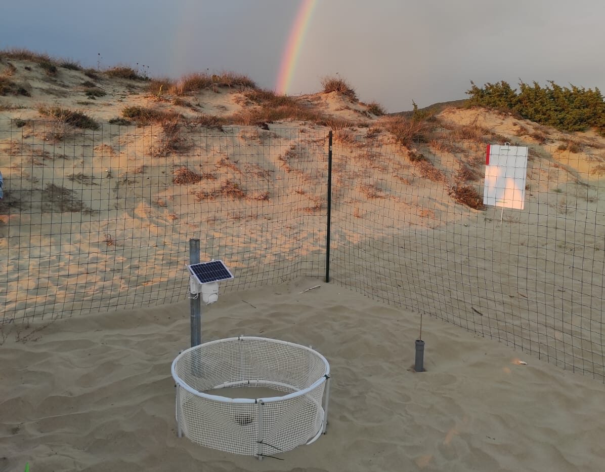 438725557_824446419729626_7629256496037376267_n