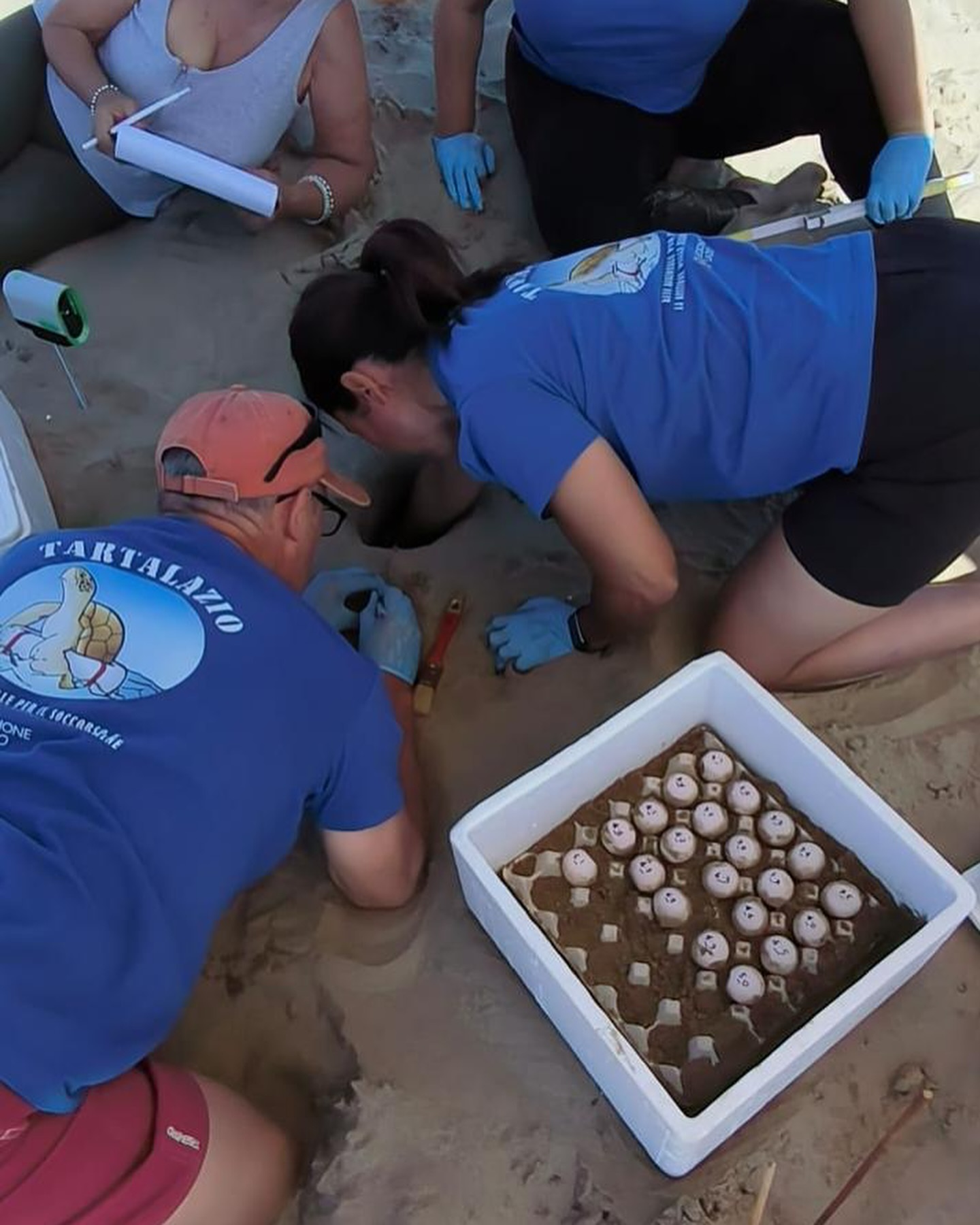 448359681_18324350689125554_2347050707097466006_n