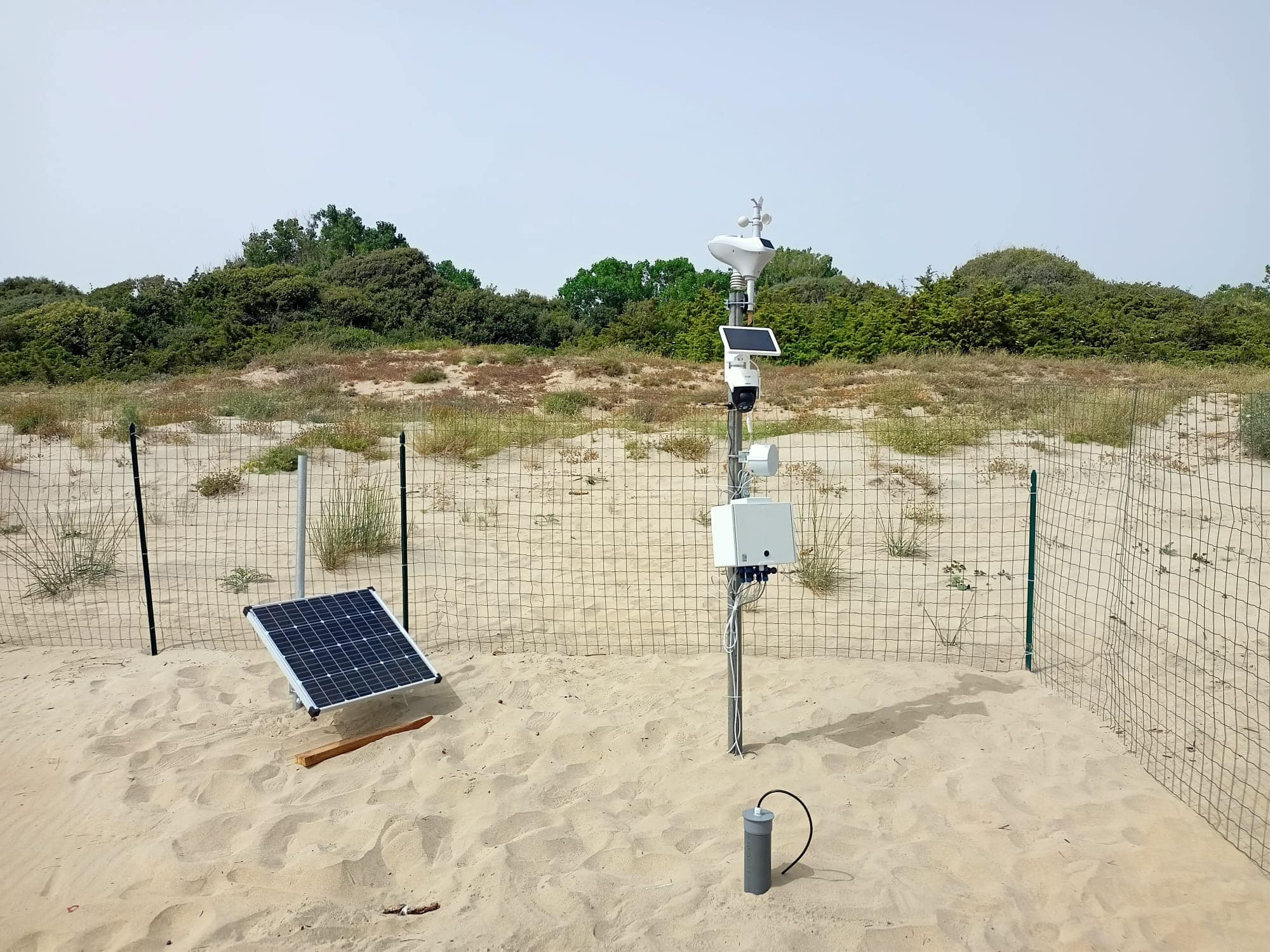 448908808_899696842203951_1722109765505004845_n